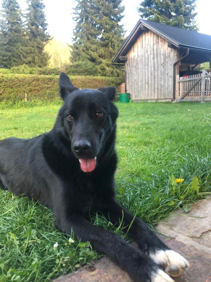 Haus Moser Altaussee Zewnętrze zdjęcie